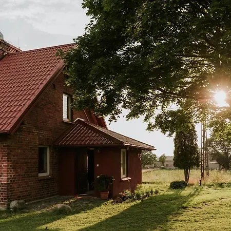 Przystanek W Lesie