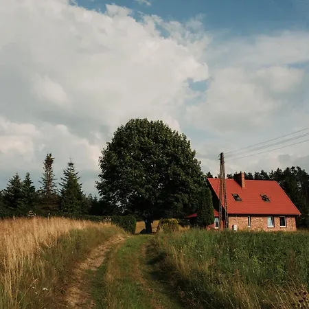 Przystanek W Lesie
